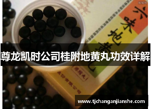 尊龙凯时公司桂附地黄丸功效详解